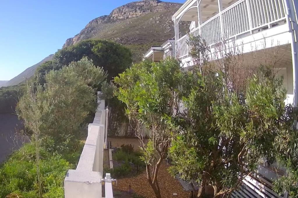 The Shore House, Cape Town, a newly built beach house with private pool in Scarborough view 5