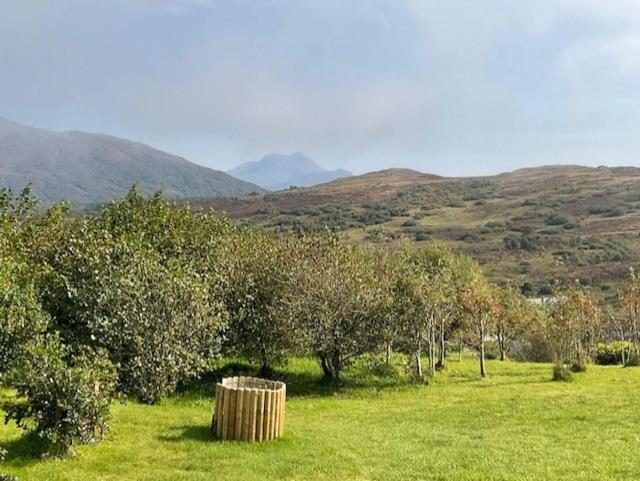 Skye-Fall view 4