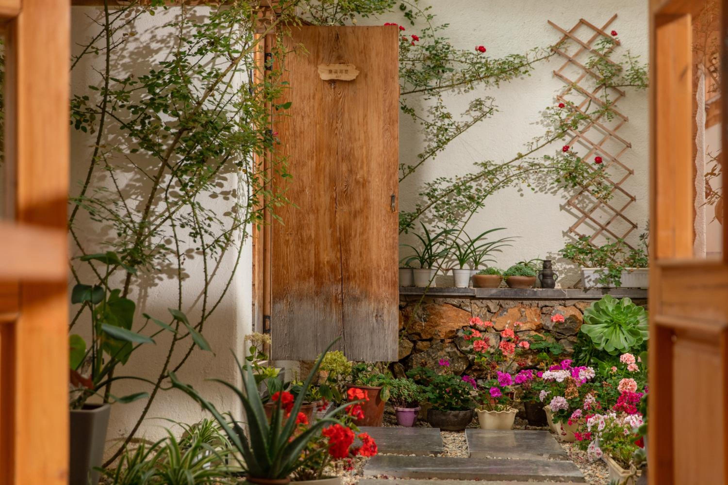 Courtyard Shangri-la 藏舍小院