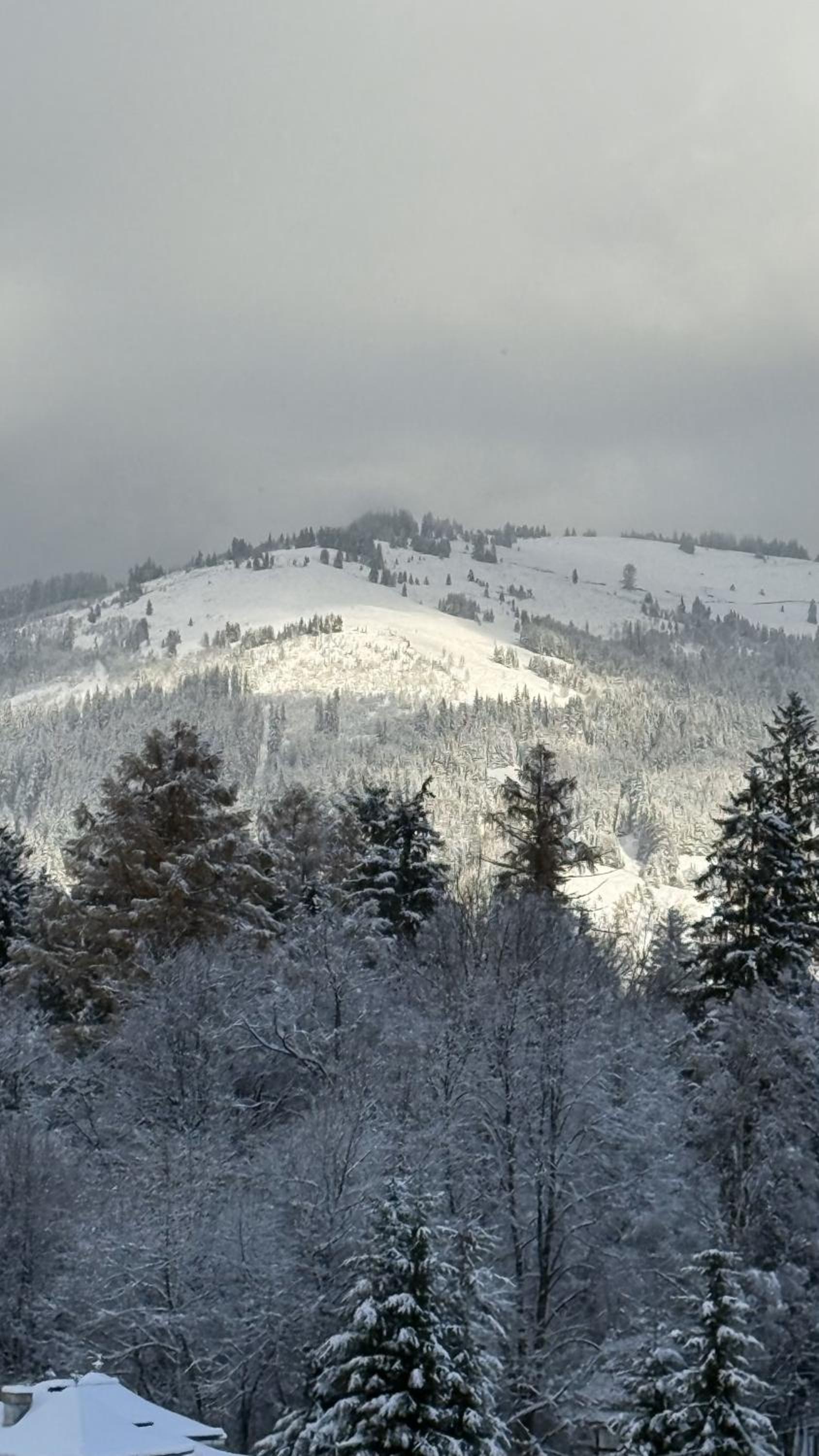 REY Chalet