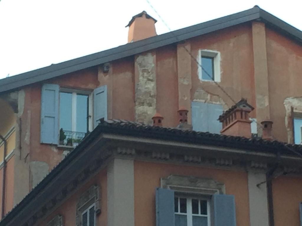 The Window