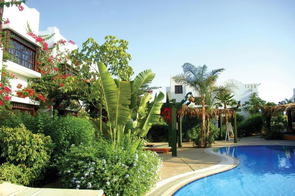 Luxury apartment one bedroom in Delta Sharm resort