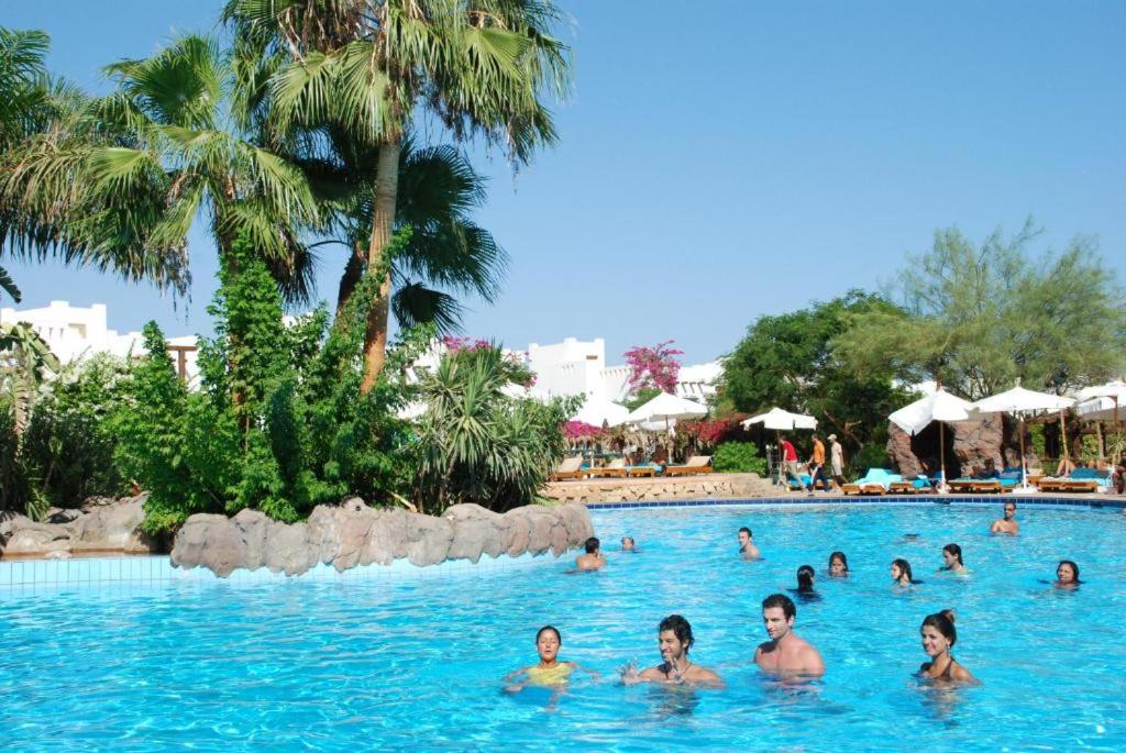 Luxury apartment one bedroom in Delta Sharm resort