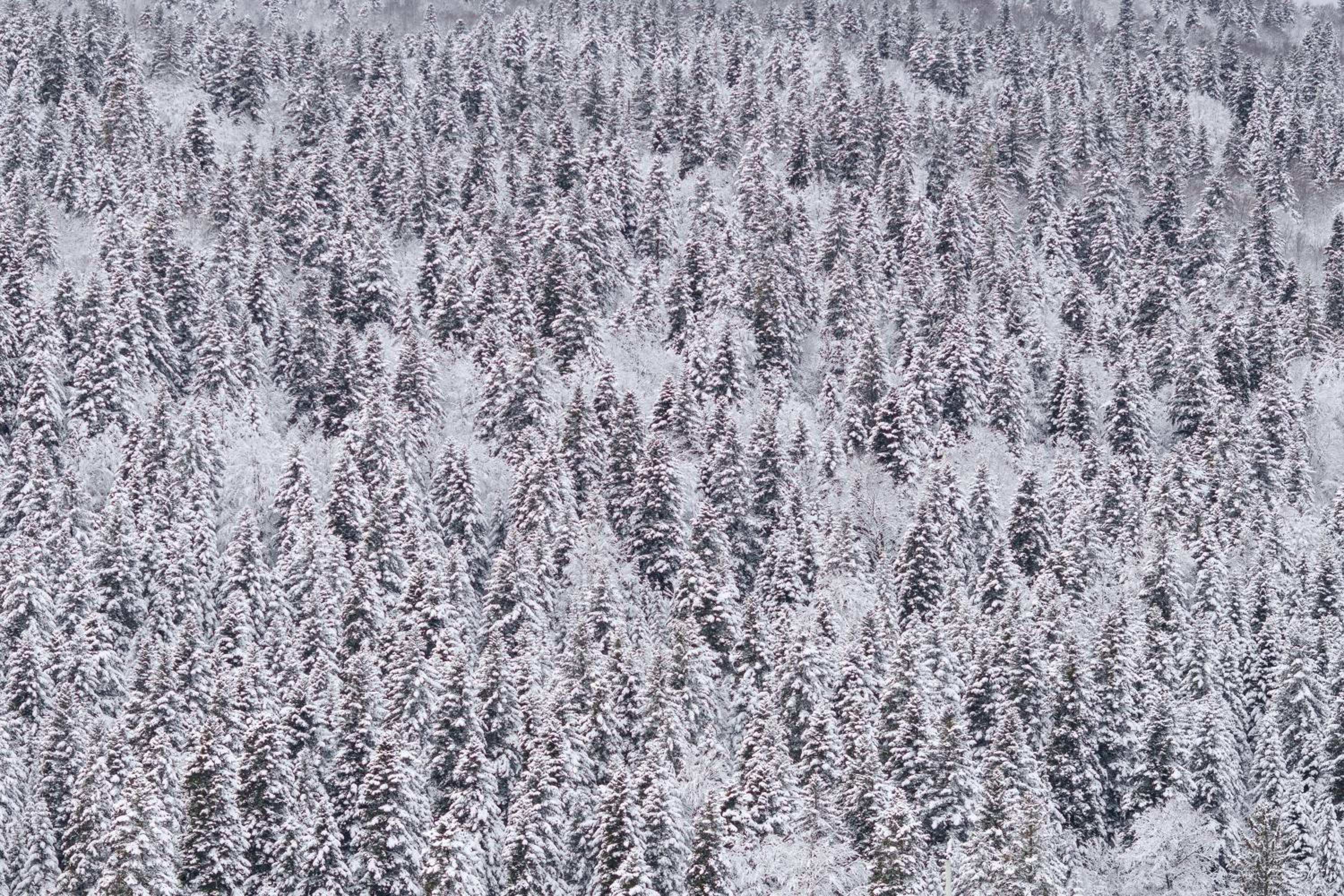 Bjelasnica view lodge