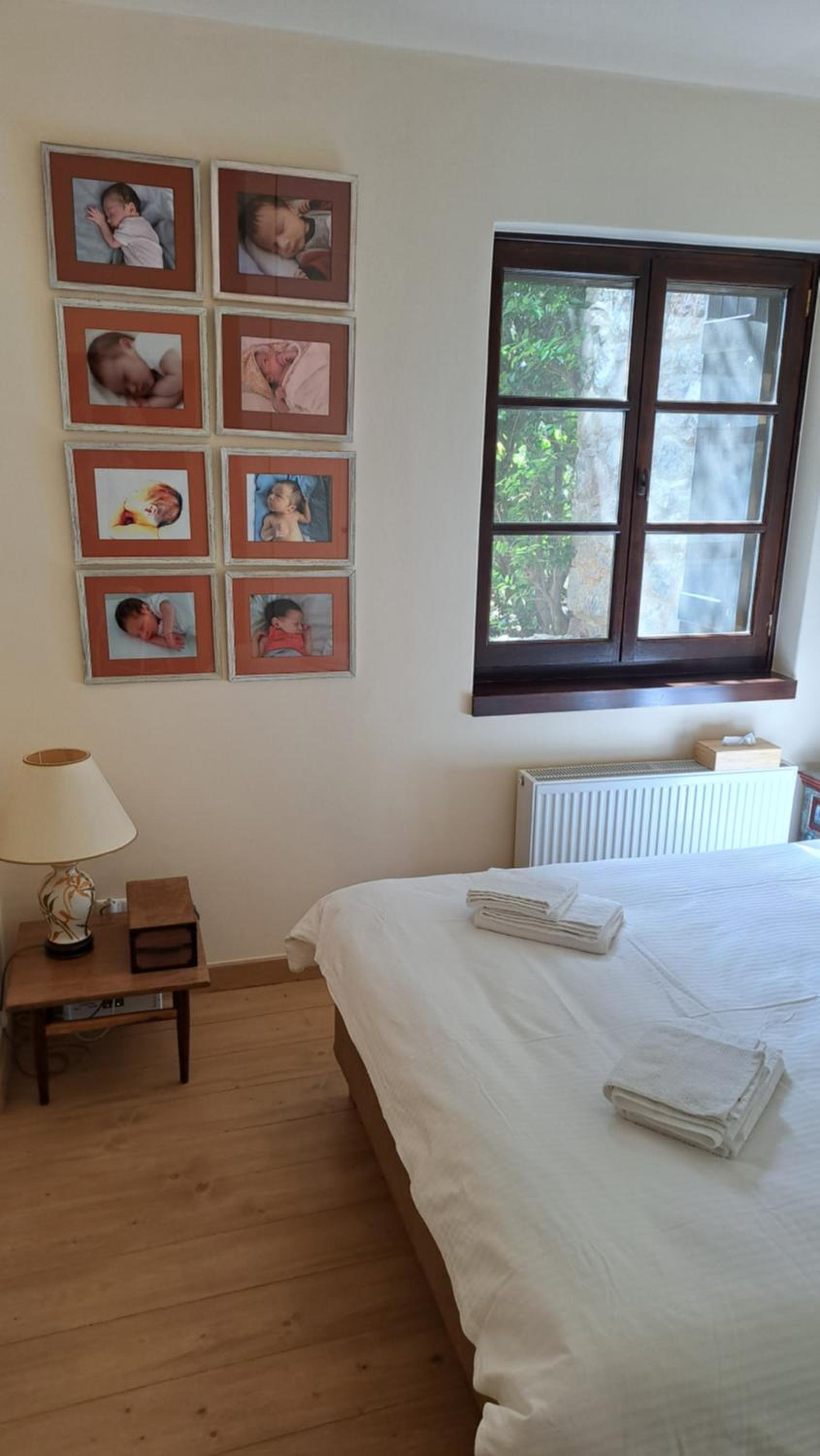 Winter Breeze photo 5