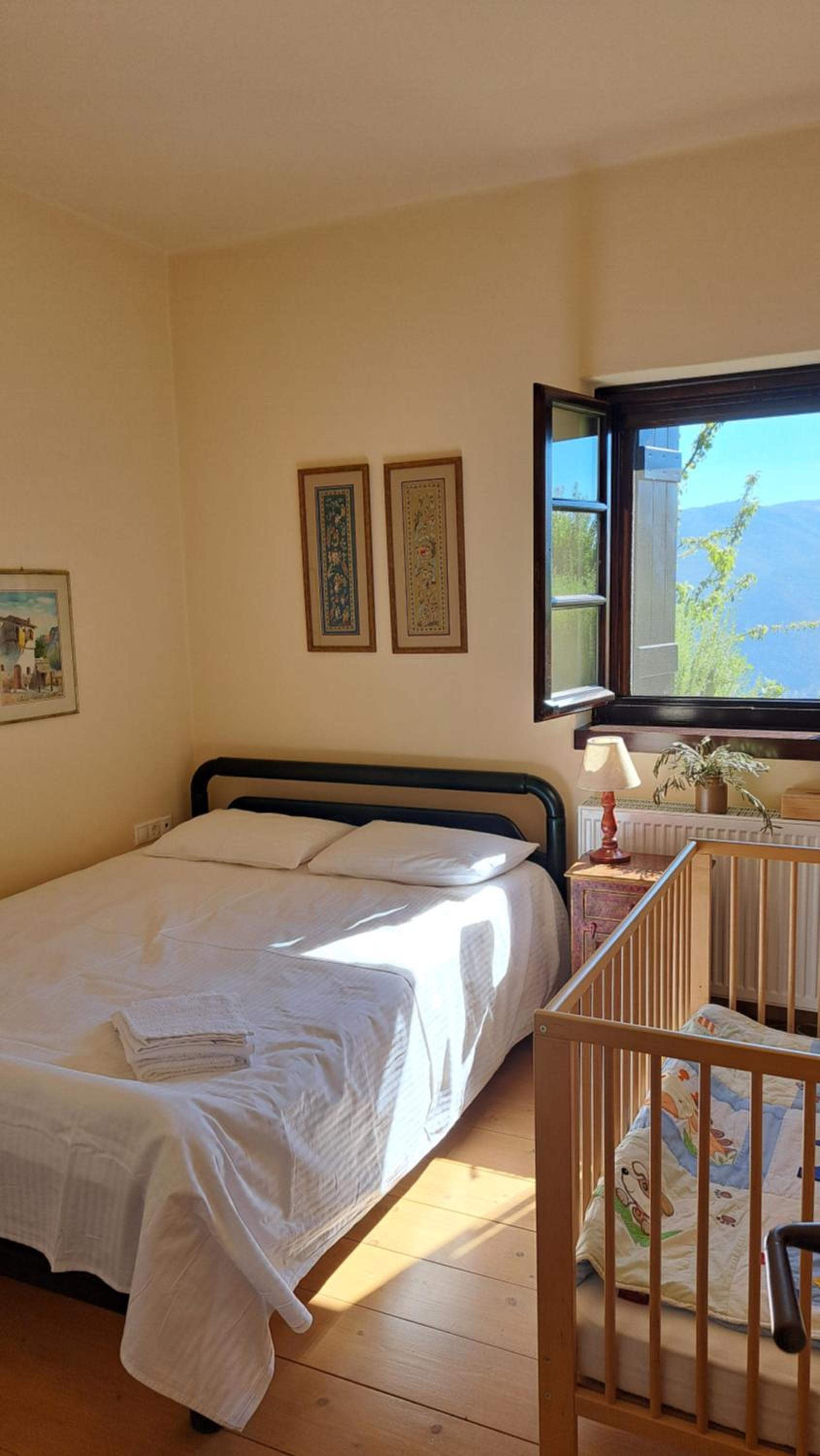 Winter Breeze photo 4