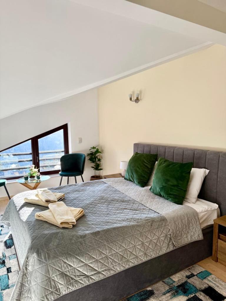 Pamporovo Rhodopi Pearl Apartments - Private Apartments