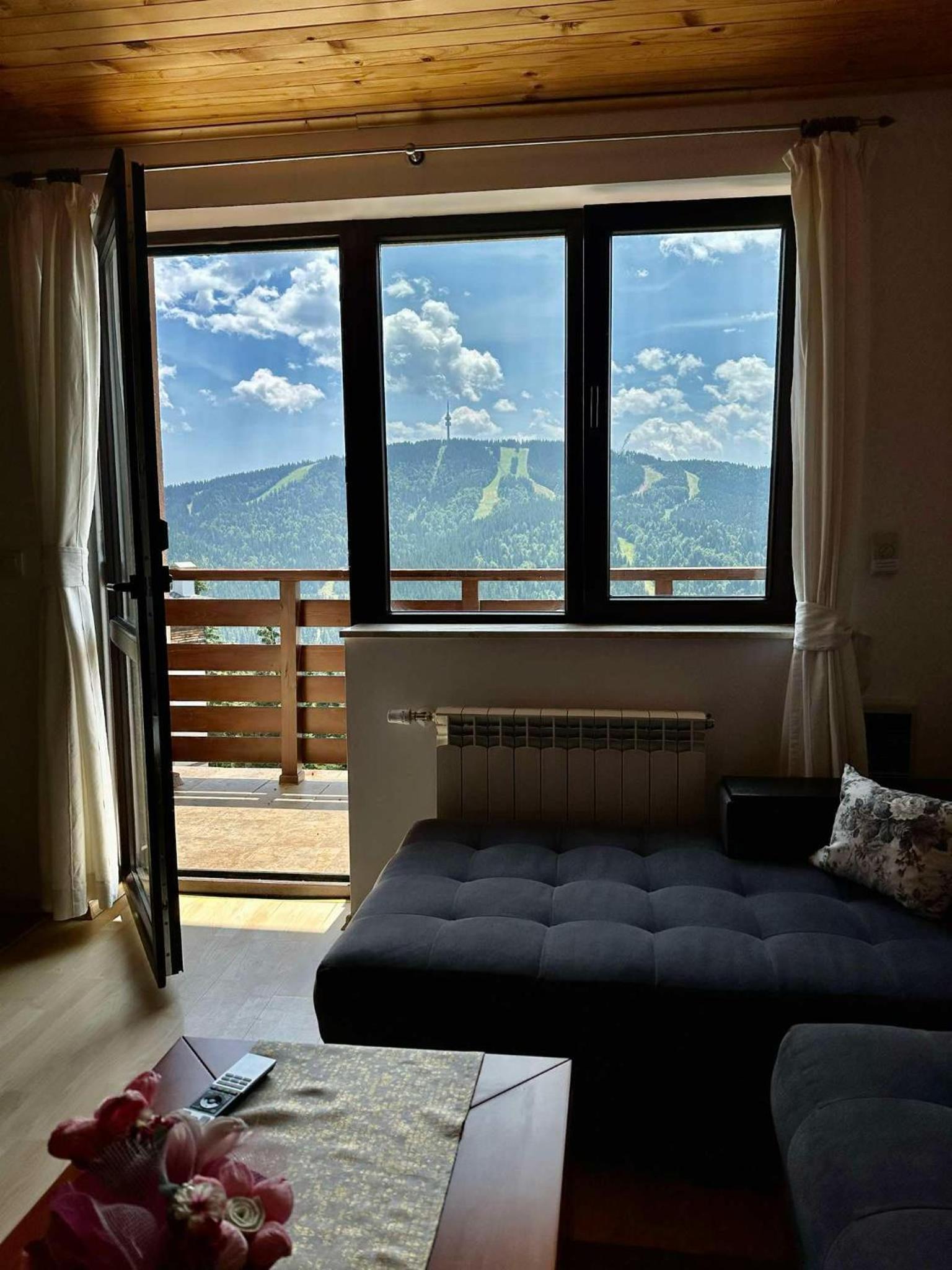 Pamporovo Rhodopi Pearl Apartments - Private Apartments
