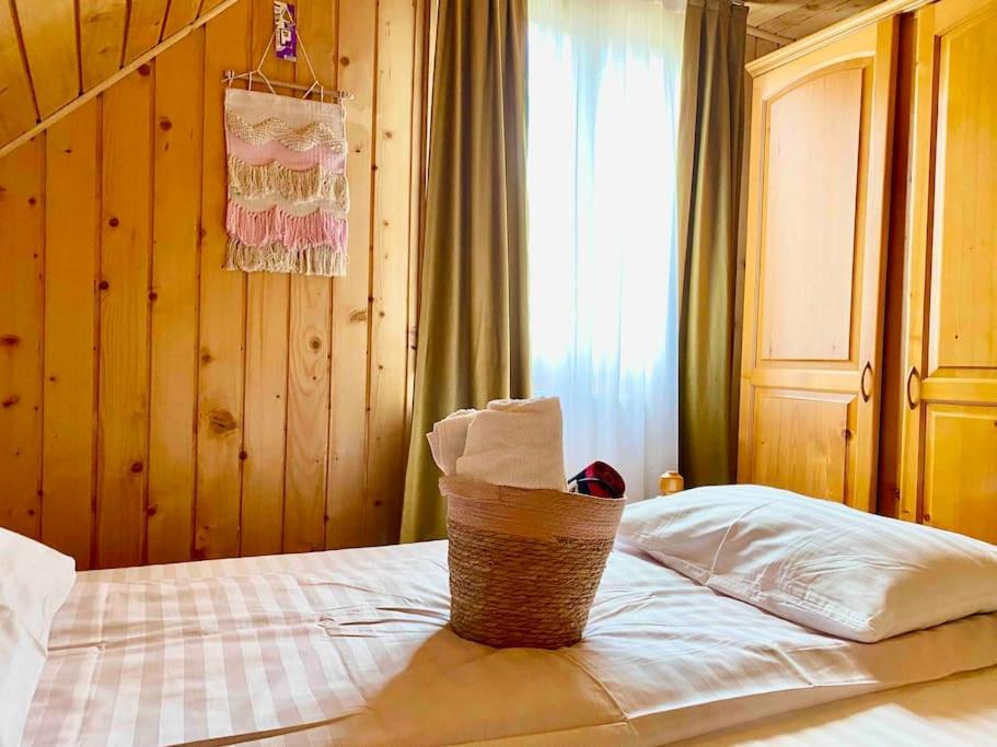 Cabana Mădălin view 2
