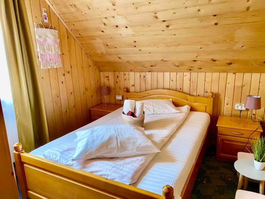 Cabana Mădălin view 3