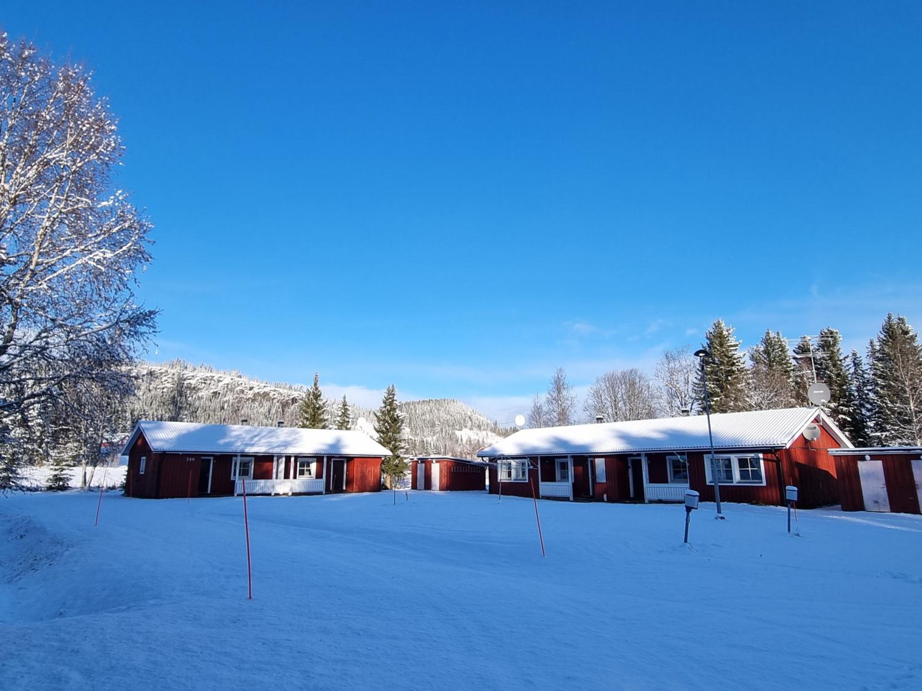 Dream Camp
