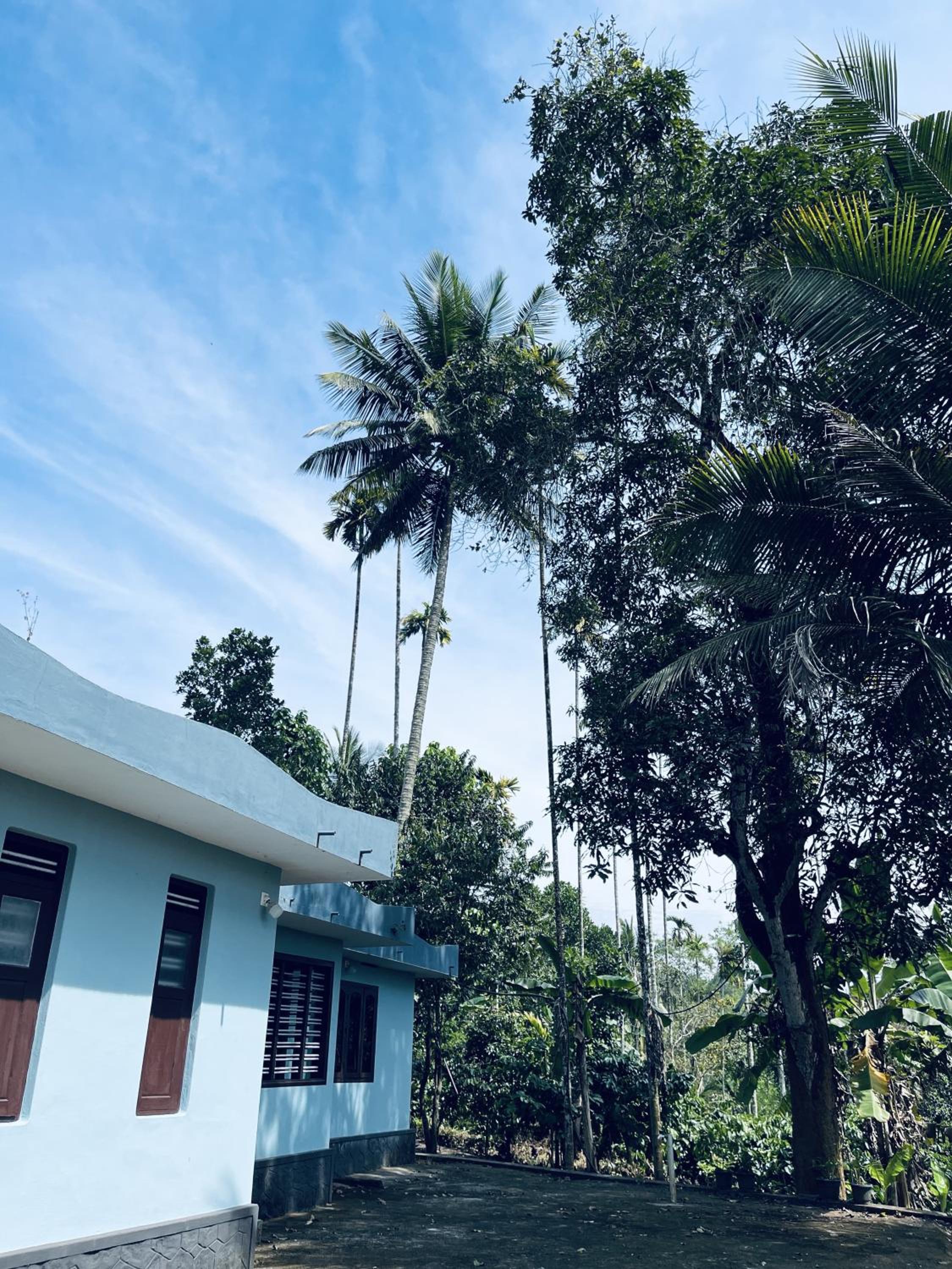 Nana Nest view 3