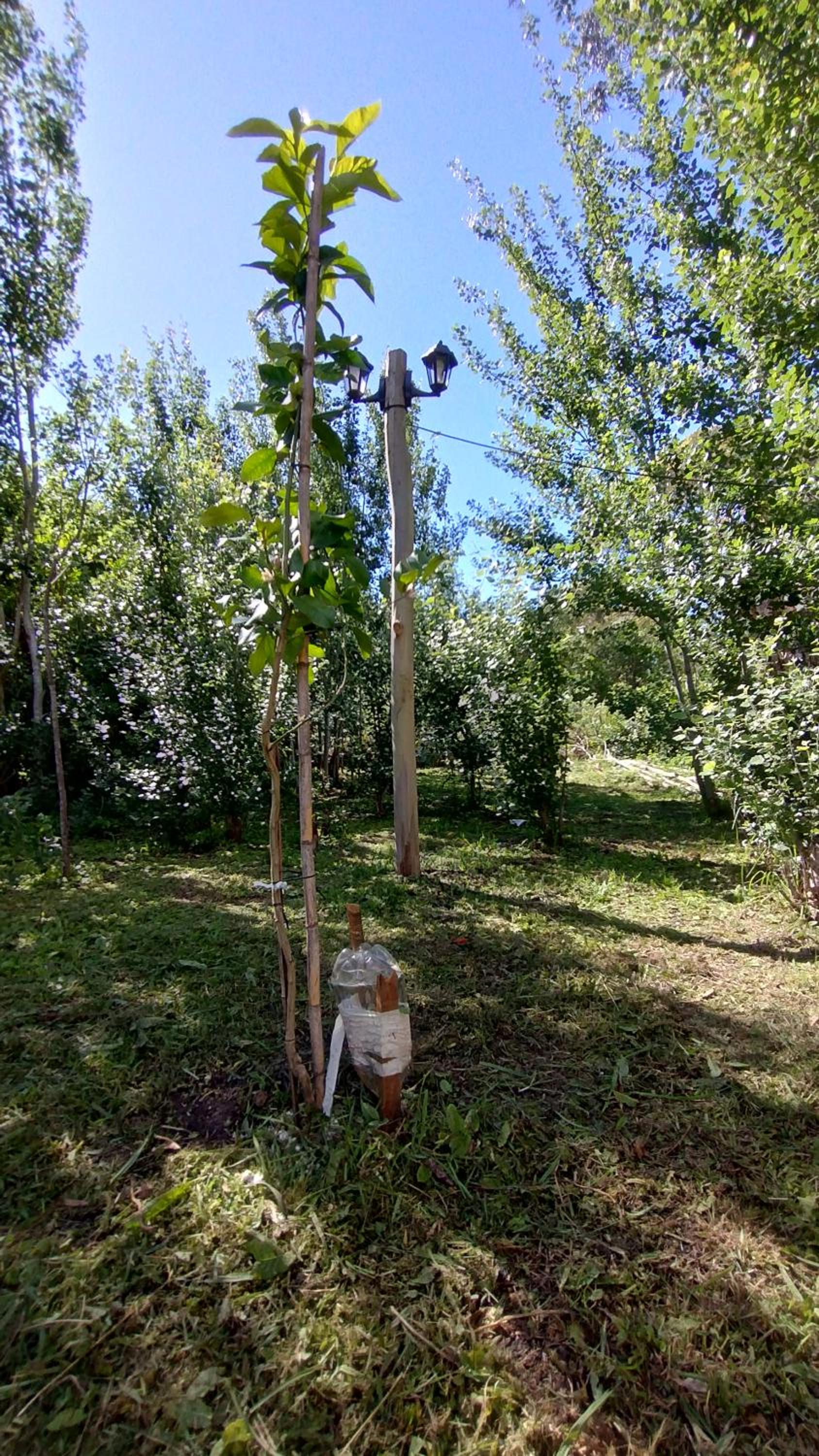 La Estafeta