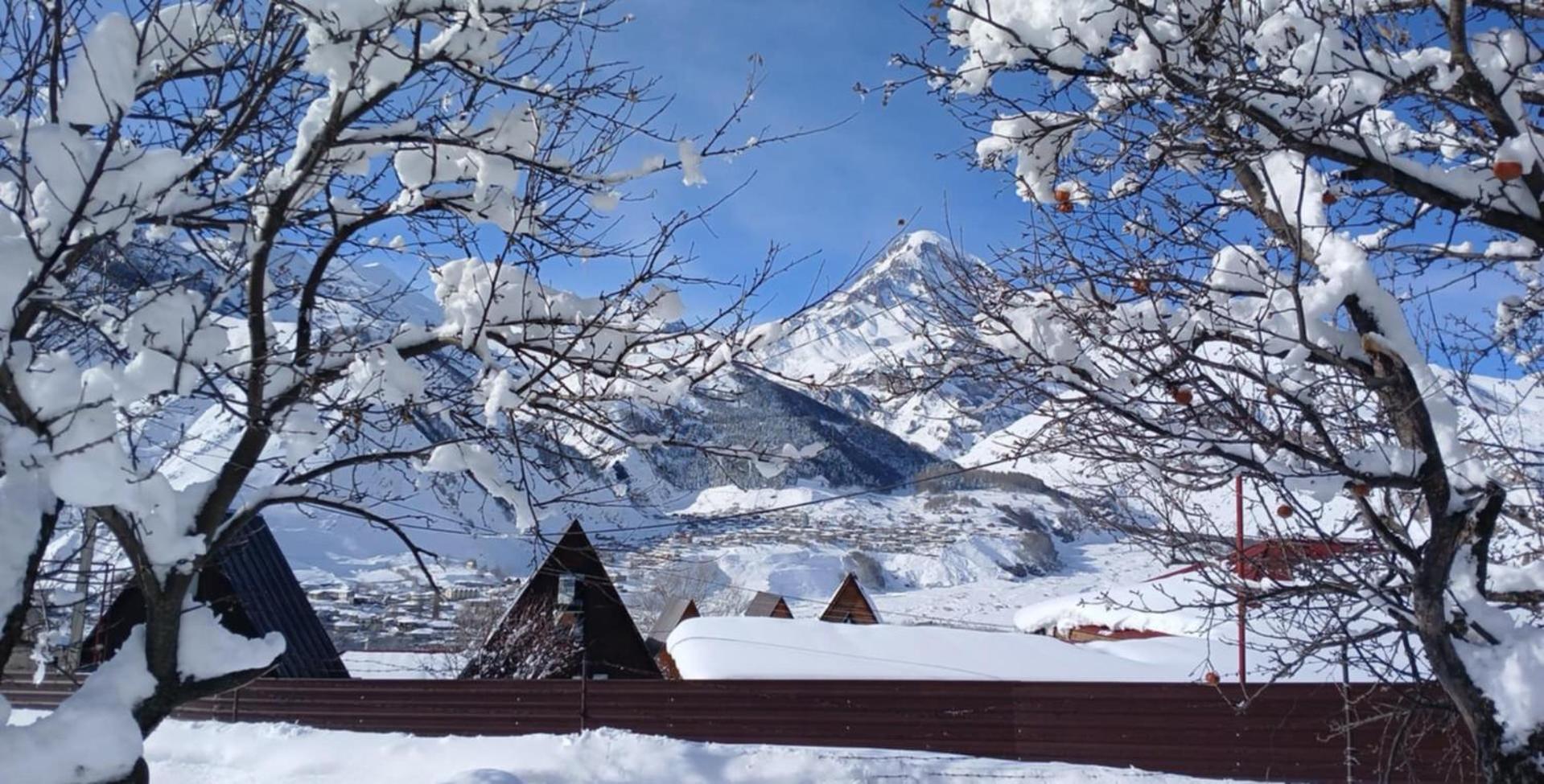 Kazbegi Milla Cottages&Spa view 3