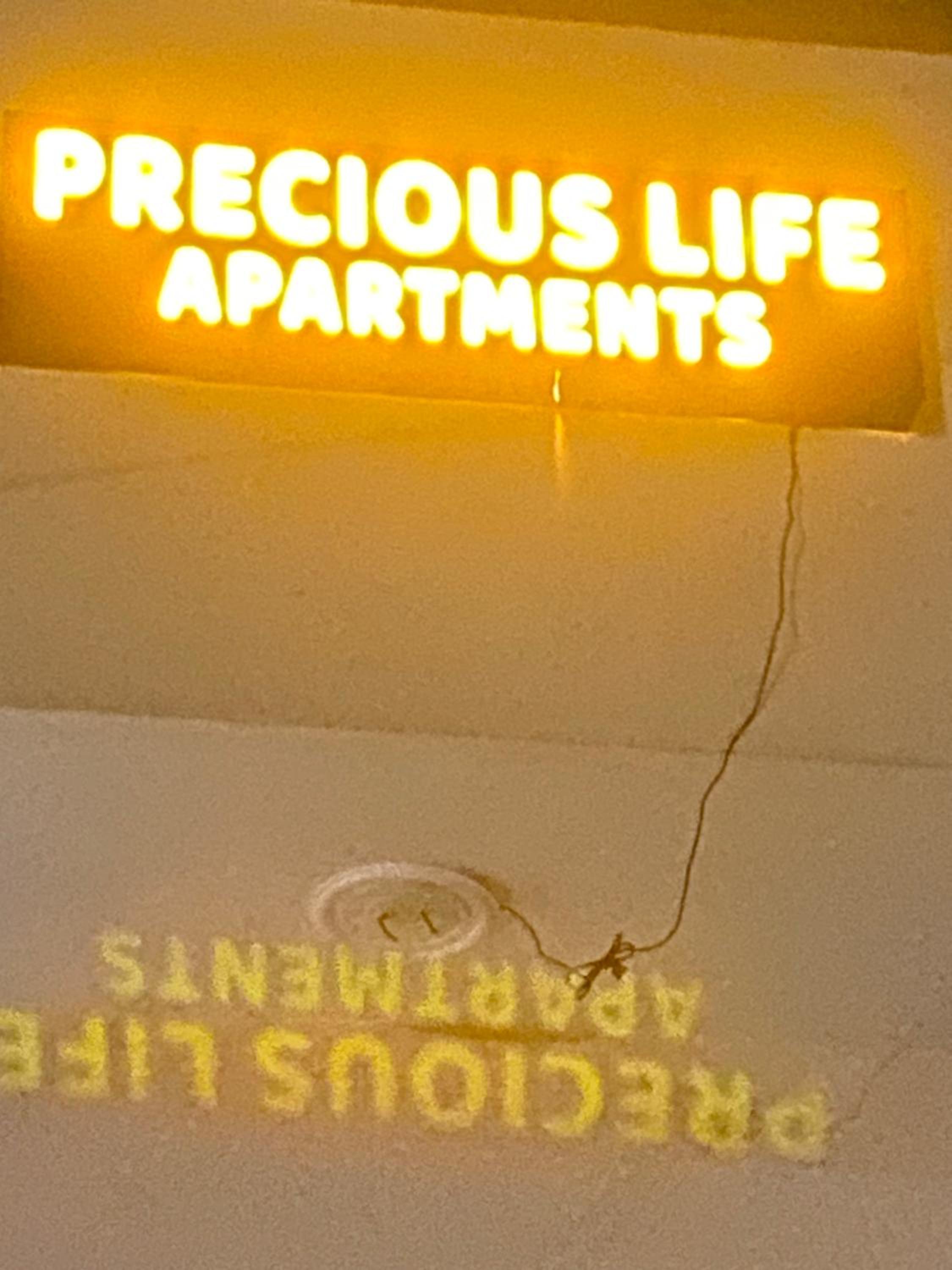 Precious life apartments view 3