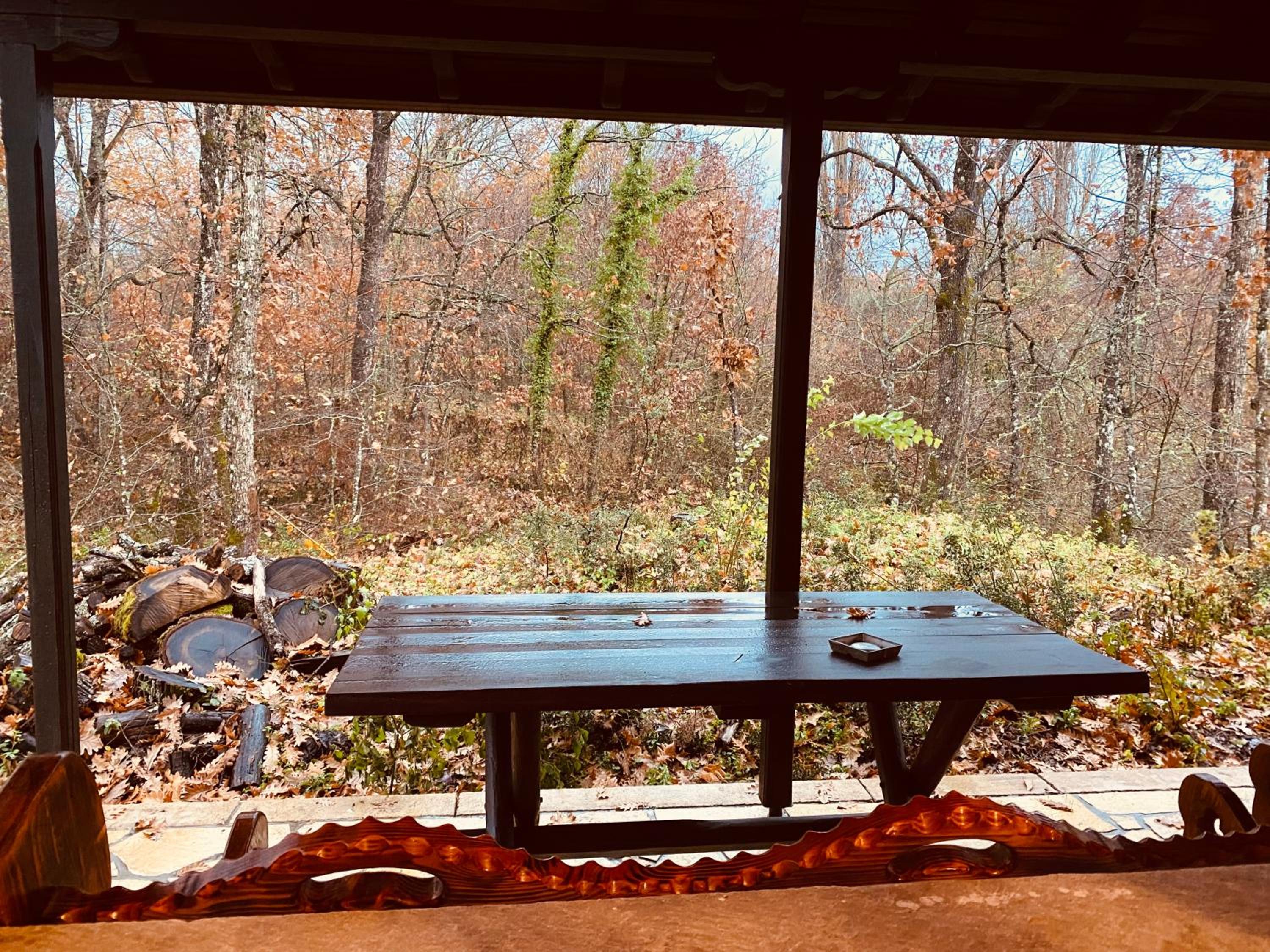 Arnaia Forest Villa view 2