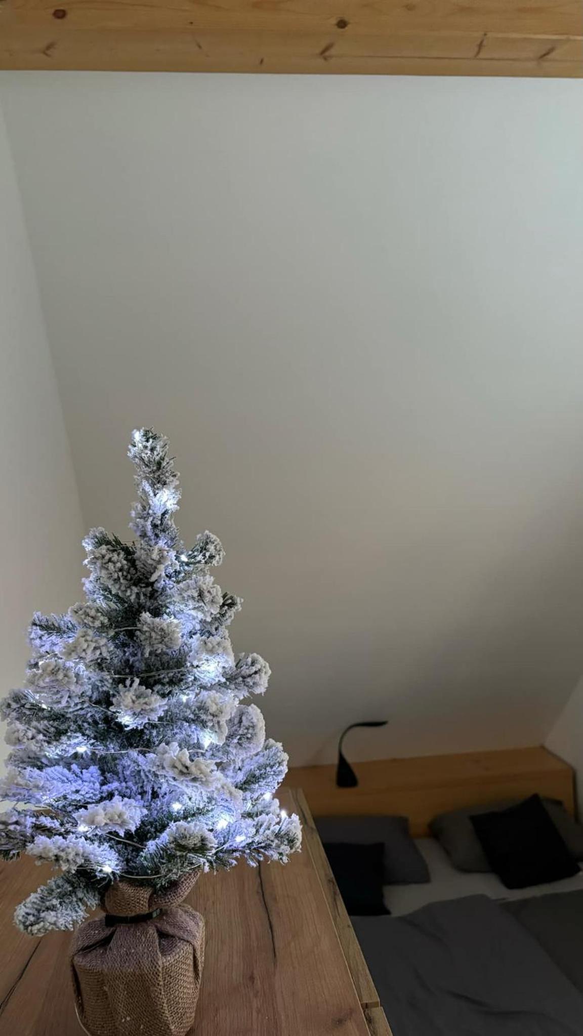 Bella Apartment
