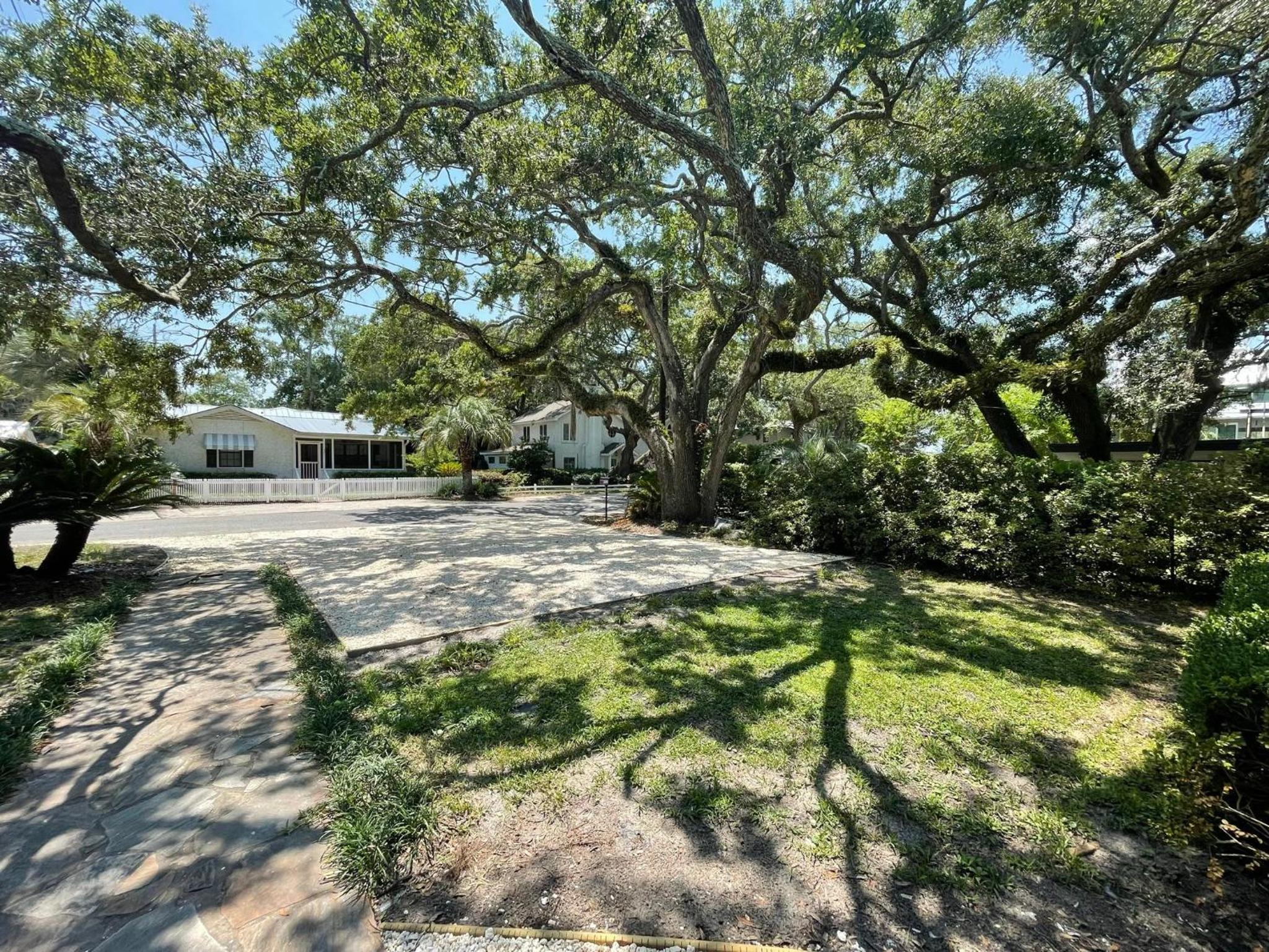 Tree Spirit Retreat - 4310 Third Street view 2
