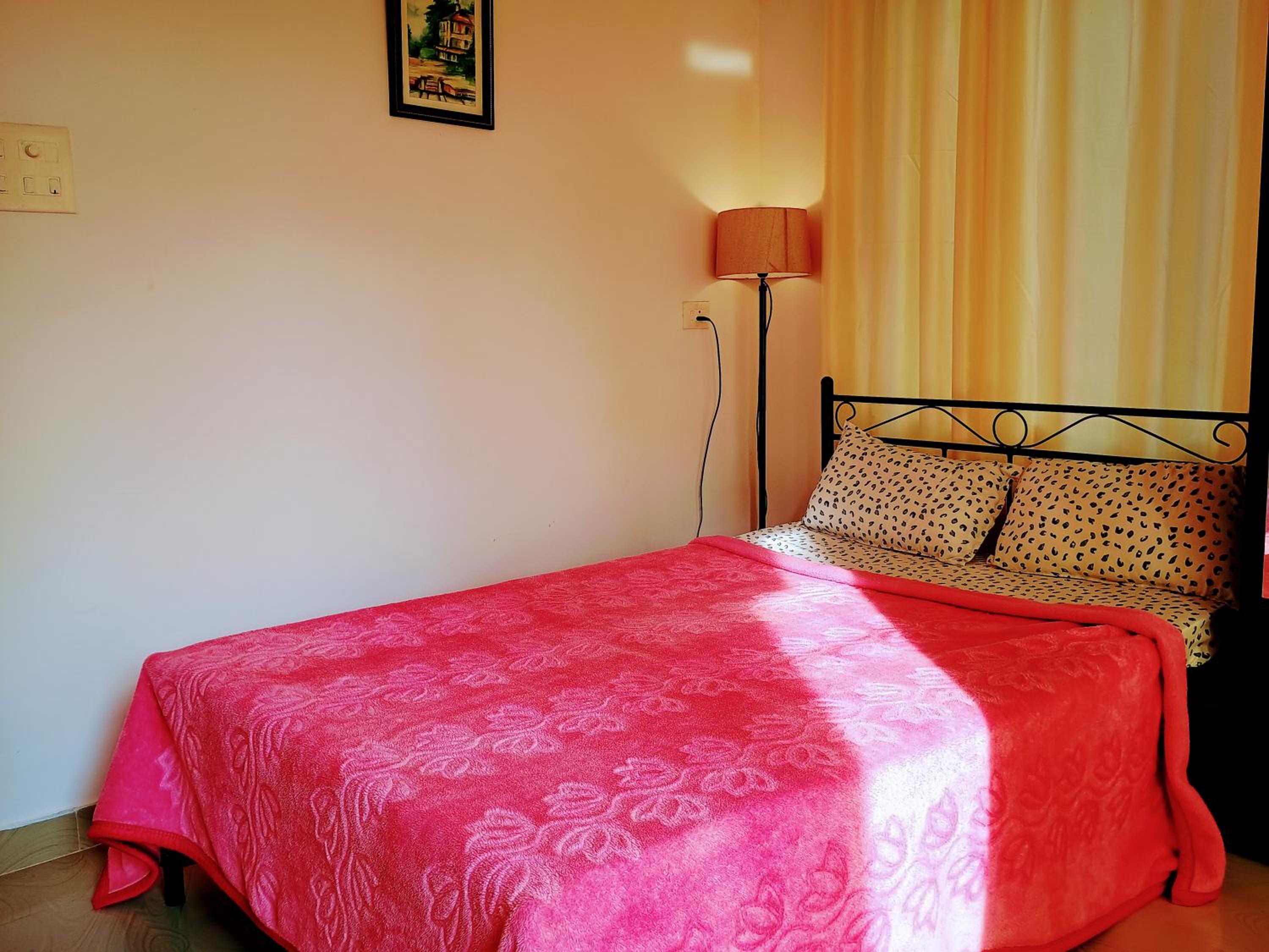 Photo 40