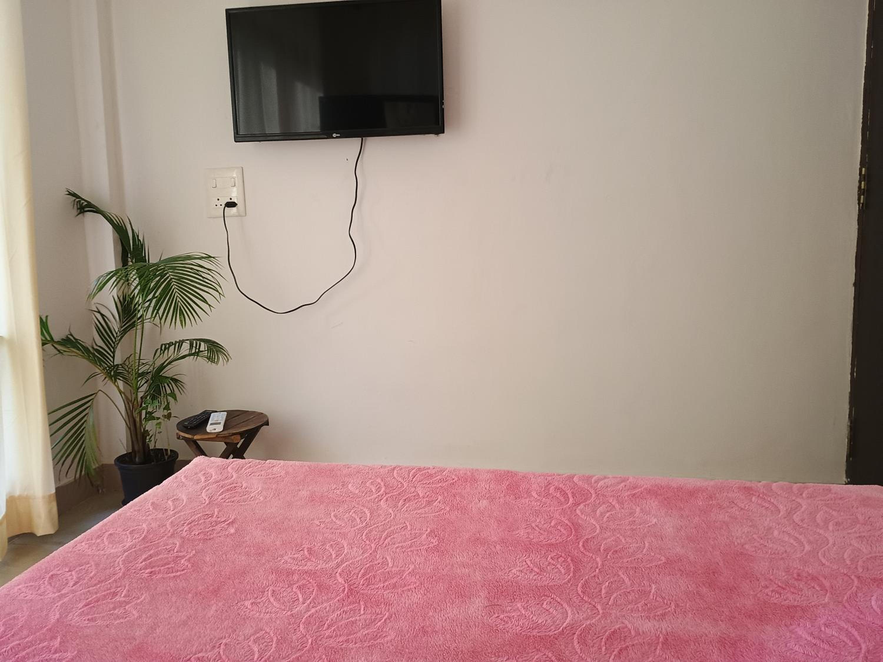 Photo 44