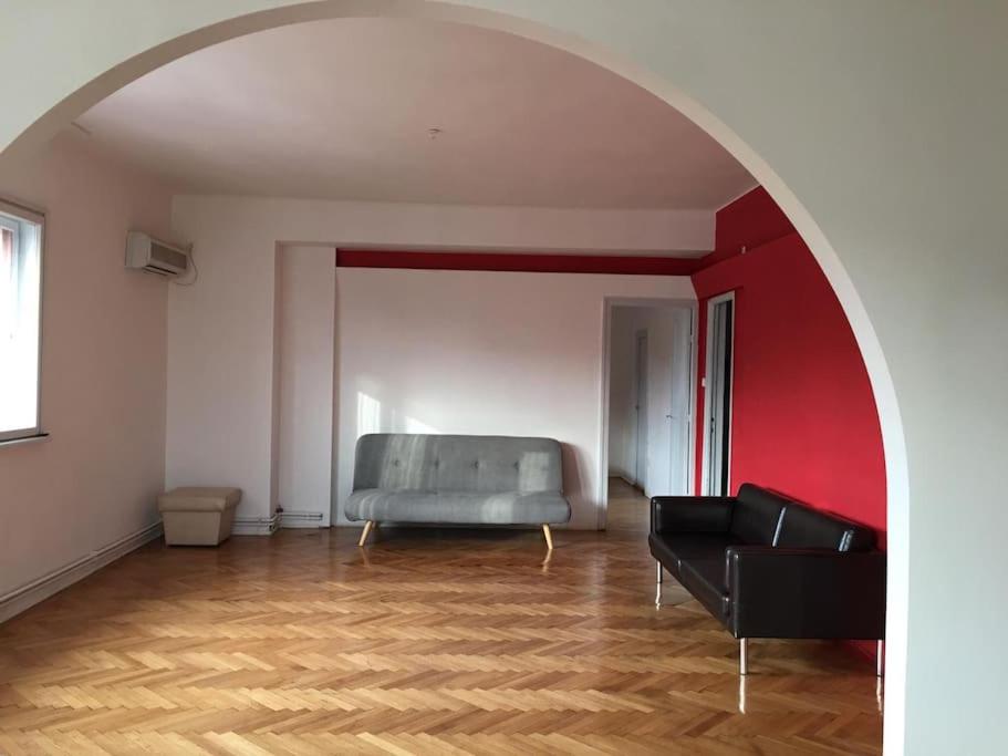 Spacious city center apartment