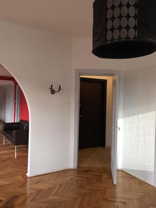 Spacious city center apartment