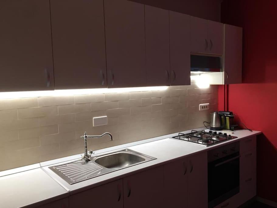 Spacious city center apartment