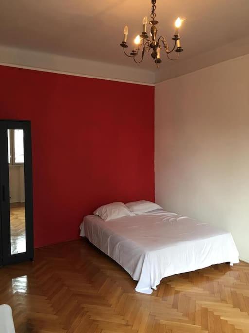 Spacious city center apartment