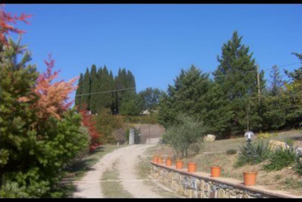 Photo 26