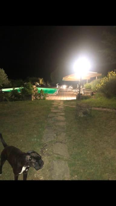 Photo 31