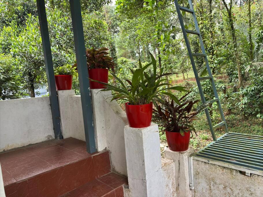 prauvilla homestay