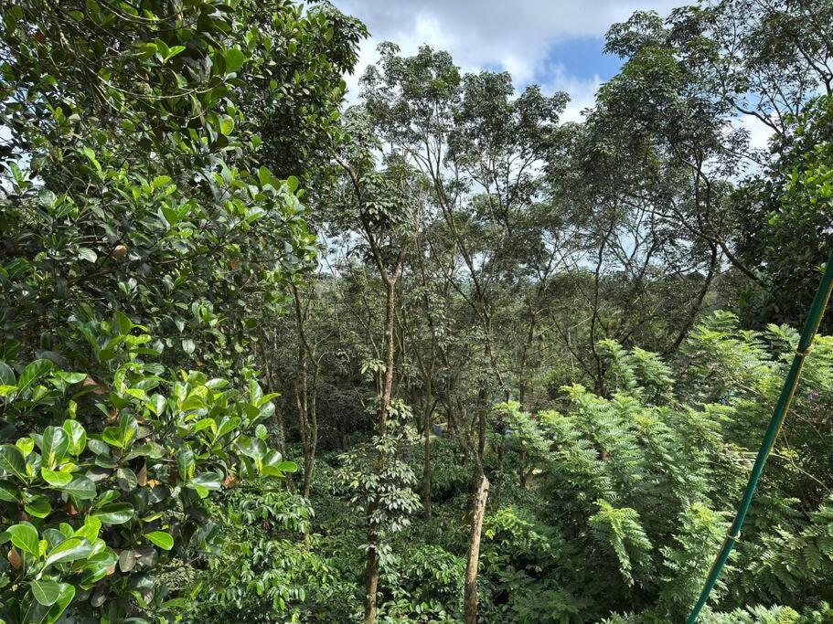 prauvilla homestay