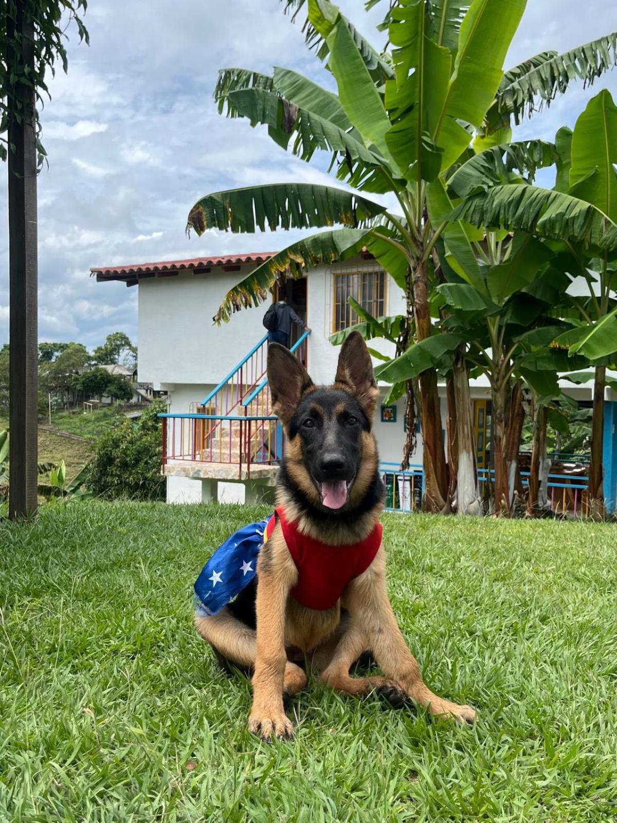 Finca Villa Sophia!