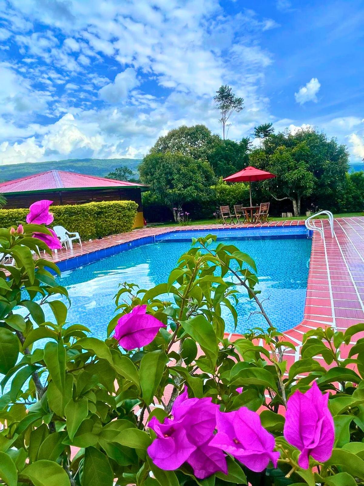 El Ensueño Ecohostal & Glamping