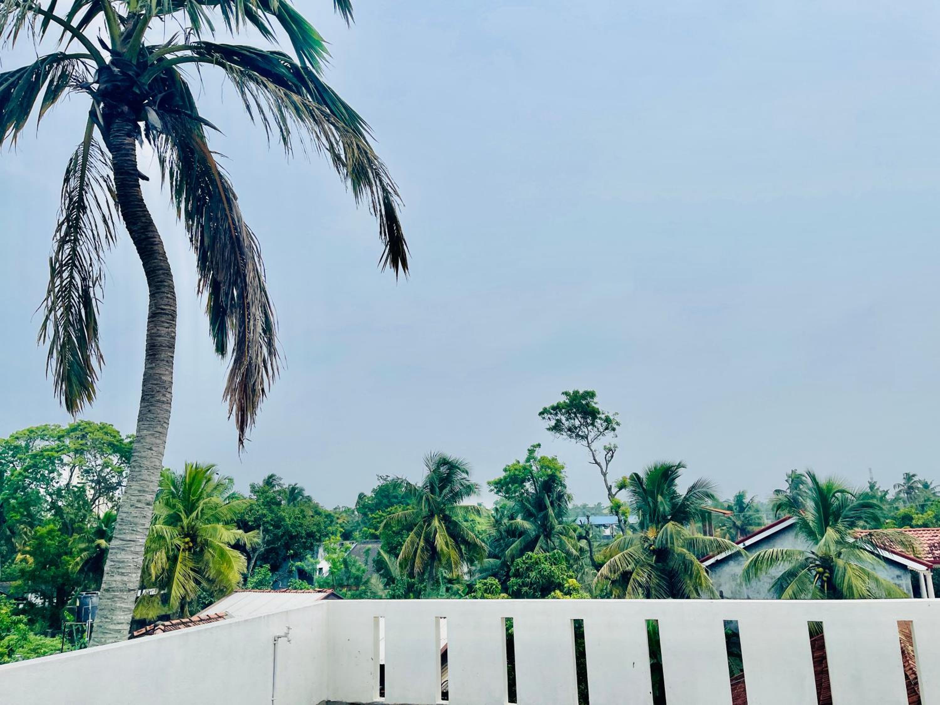 Sleepy Heaven Negombo