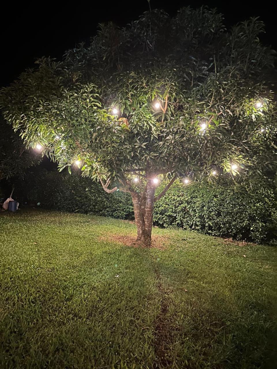 El Ensueño Ecohostal & Glamping
