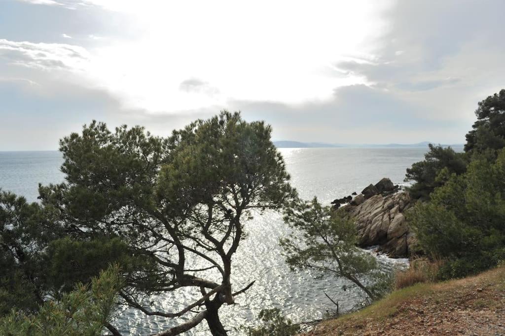 Soleil et serenite au Cap Brun Toulon