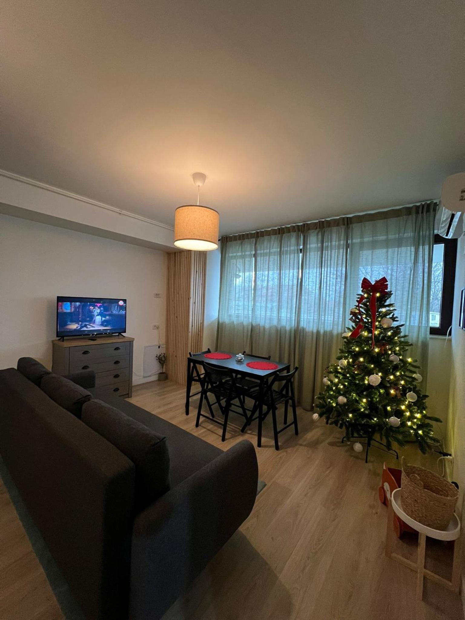 Victoria Condo Otopeni- Self Check-in and Check- out view 4