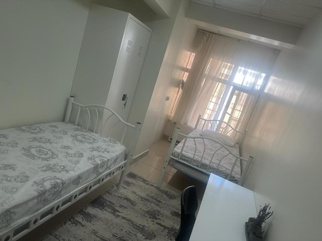 Bull Hostel
