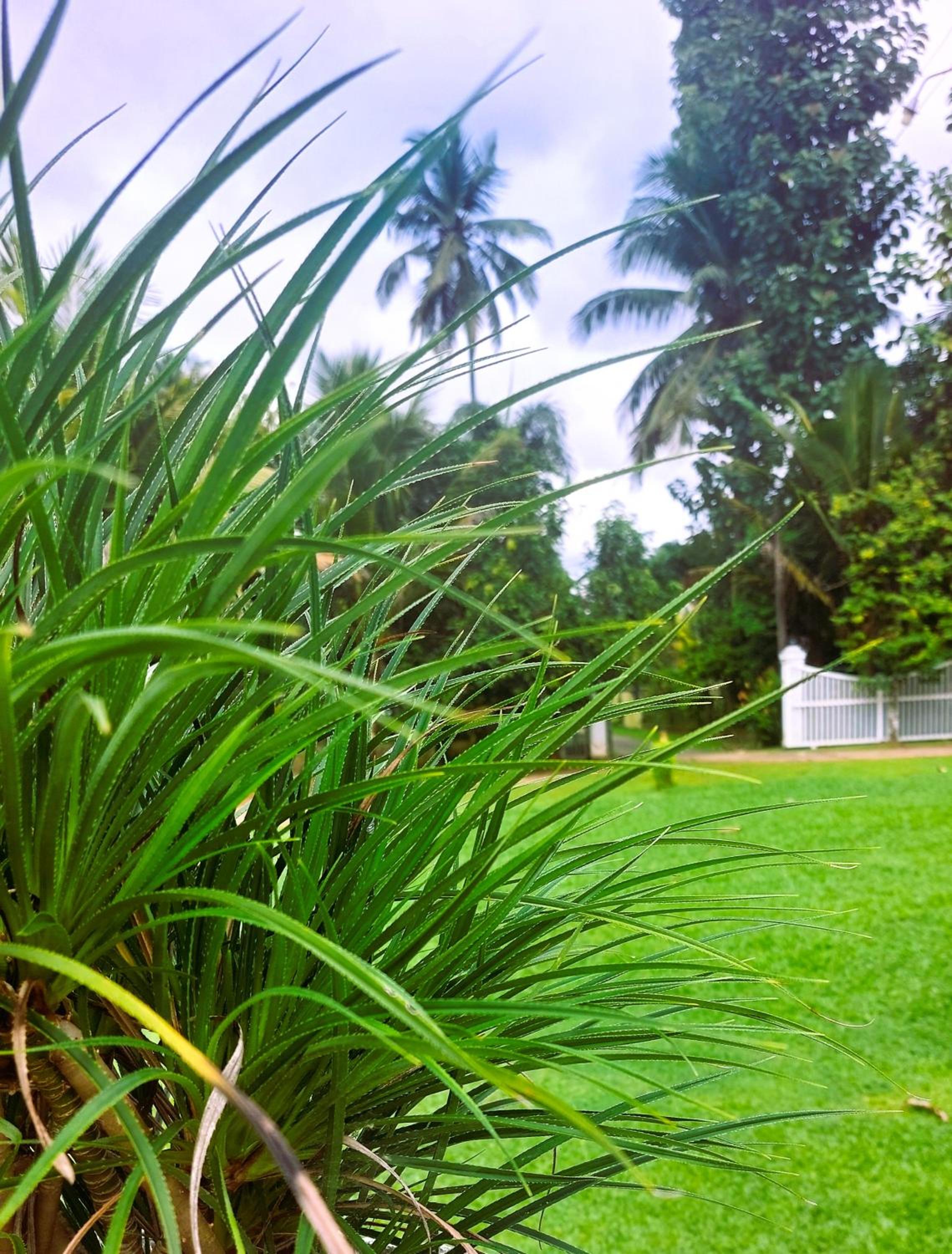 Tamarind Villa