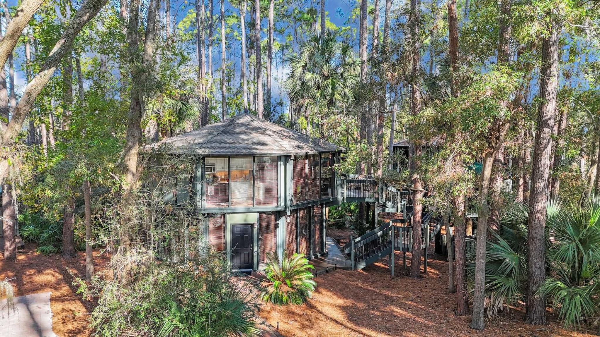 A Magical Treehouse by the Sea!