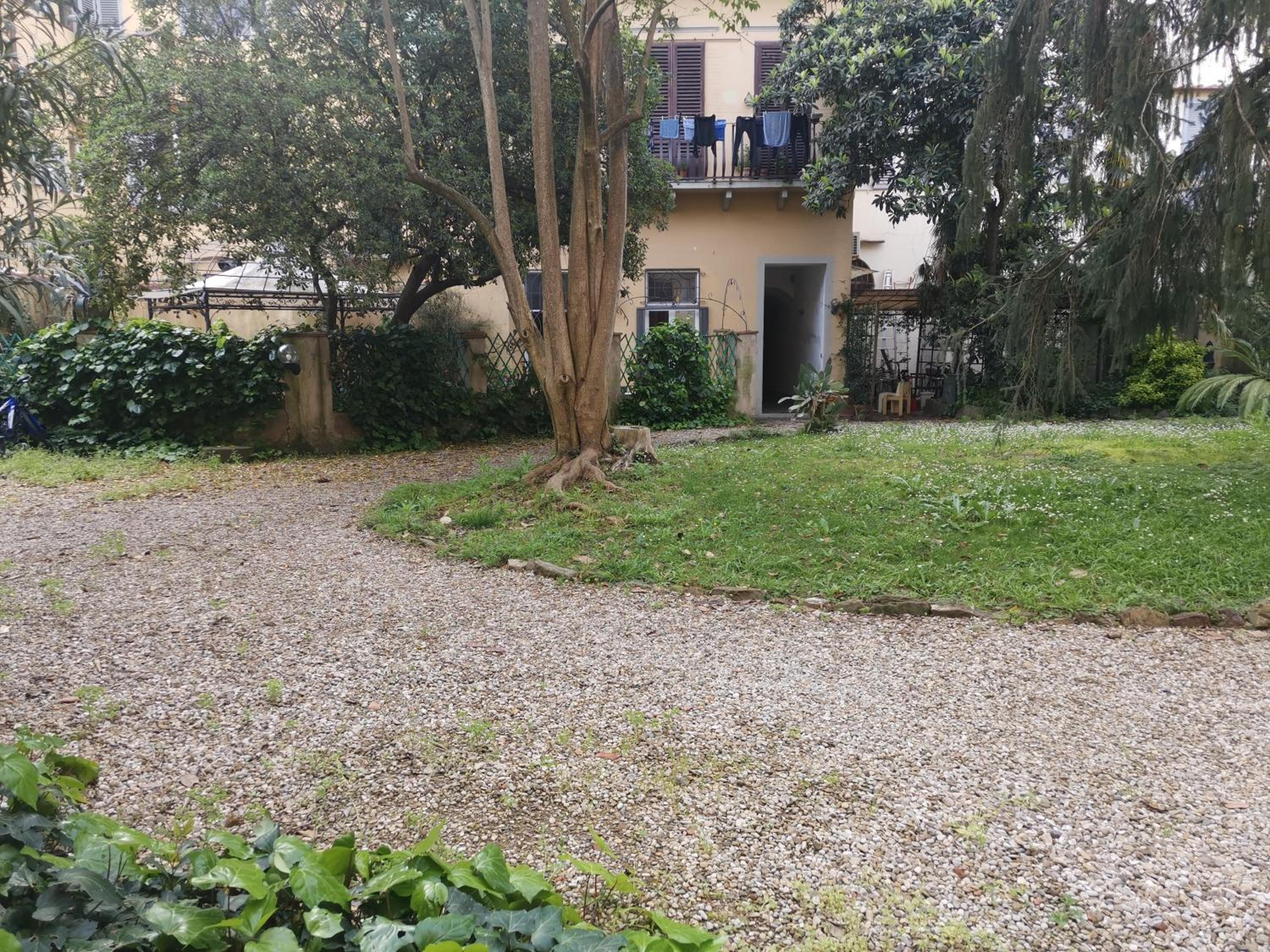 Pintino Garden