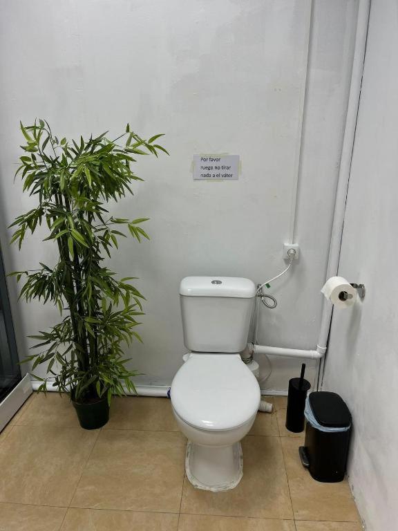 Apartamento Nuria