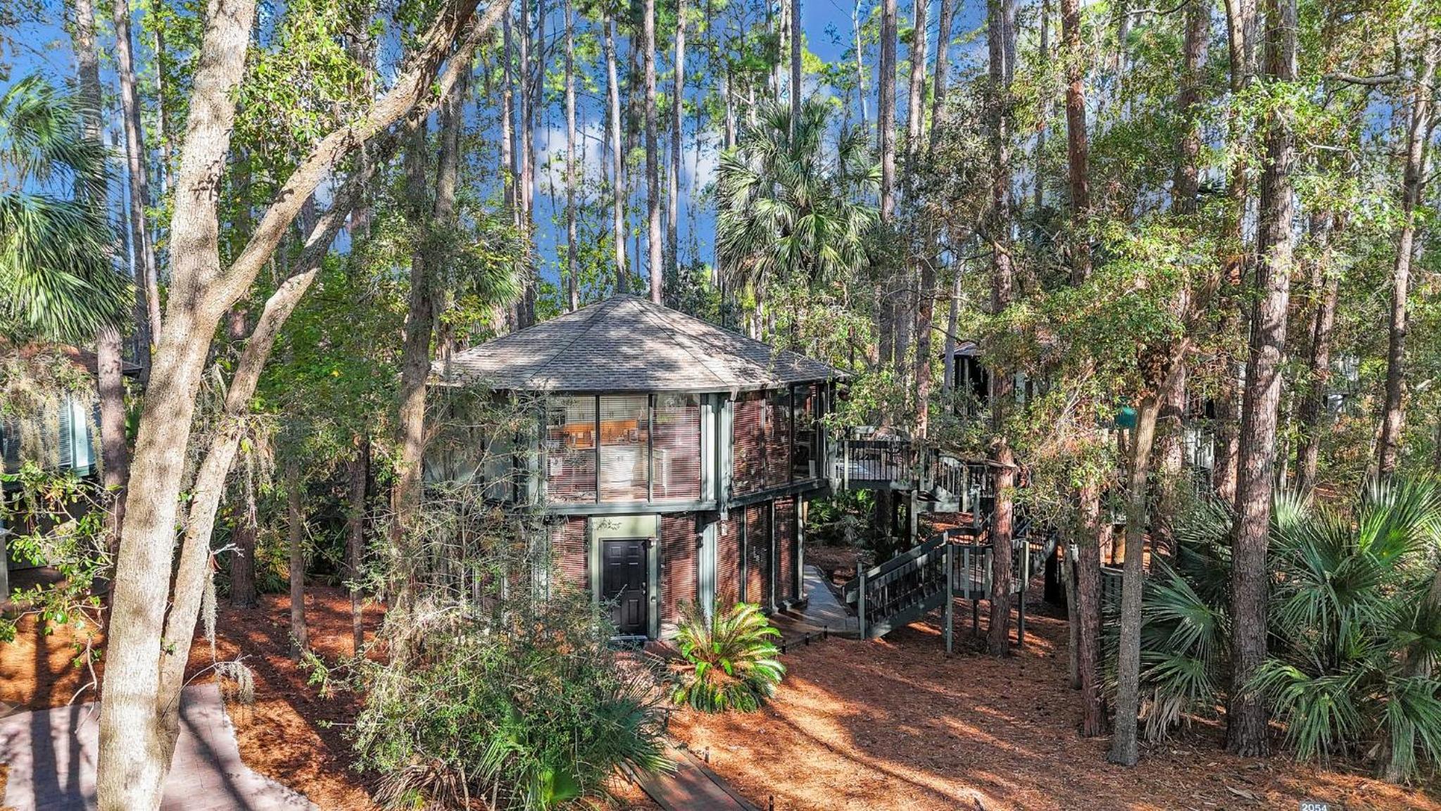 A Magical Treehouse by the Sea!