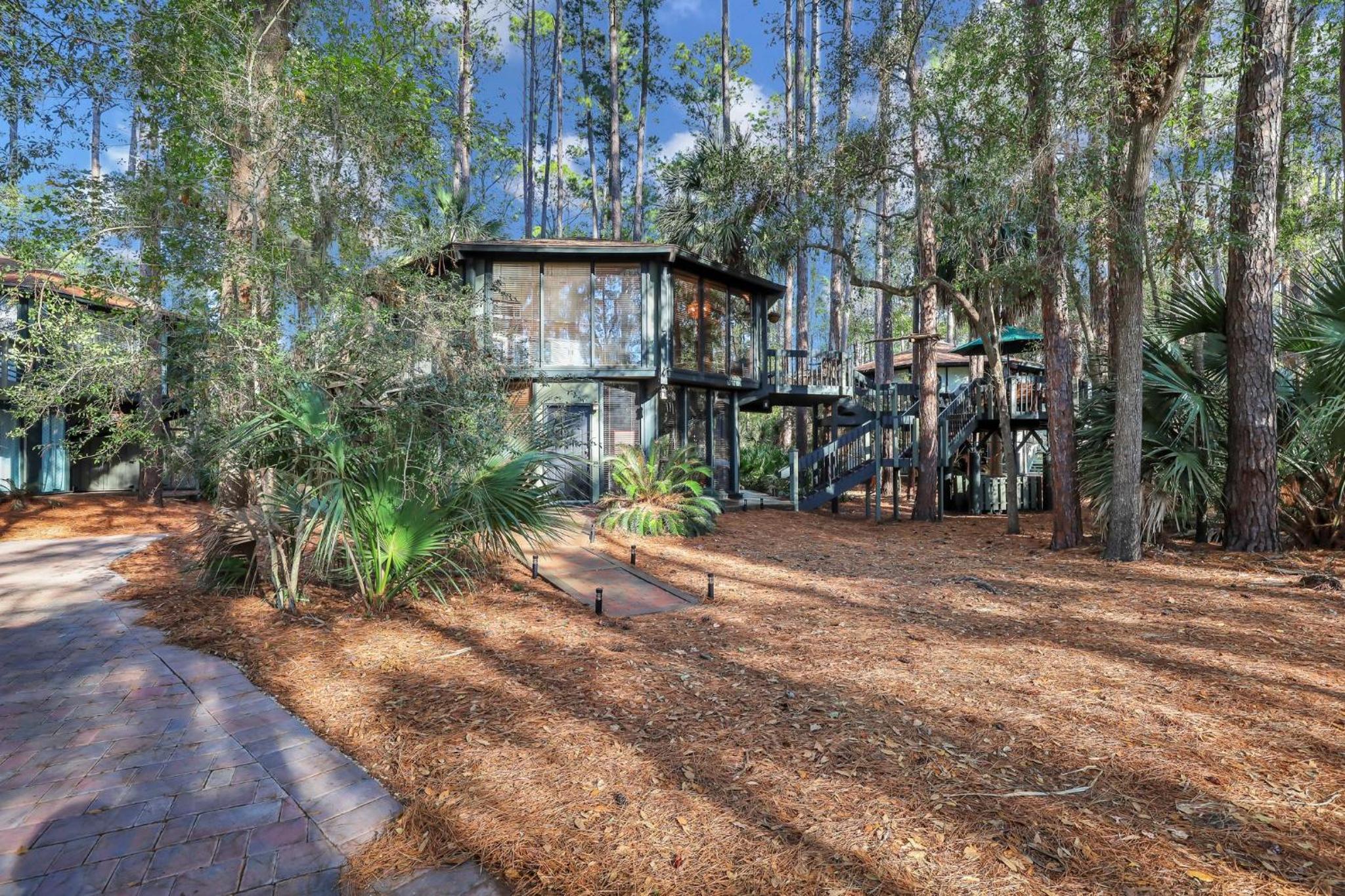 A Magical Treehouse by the Sea!