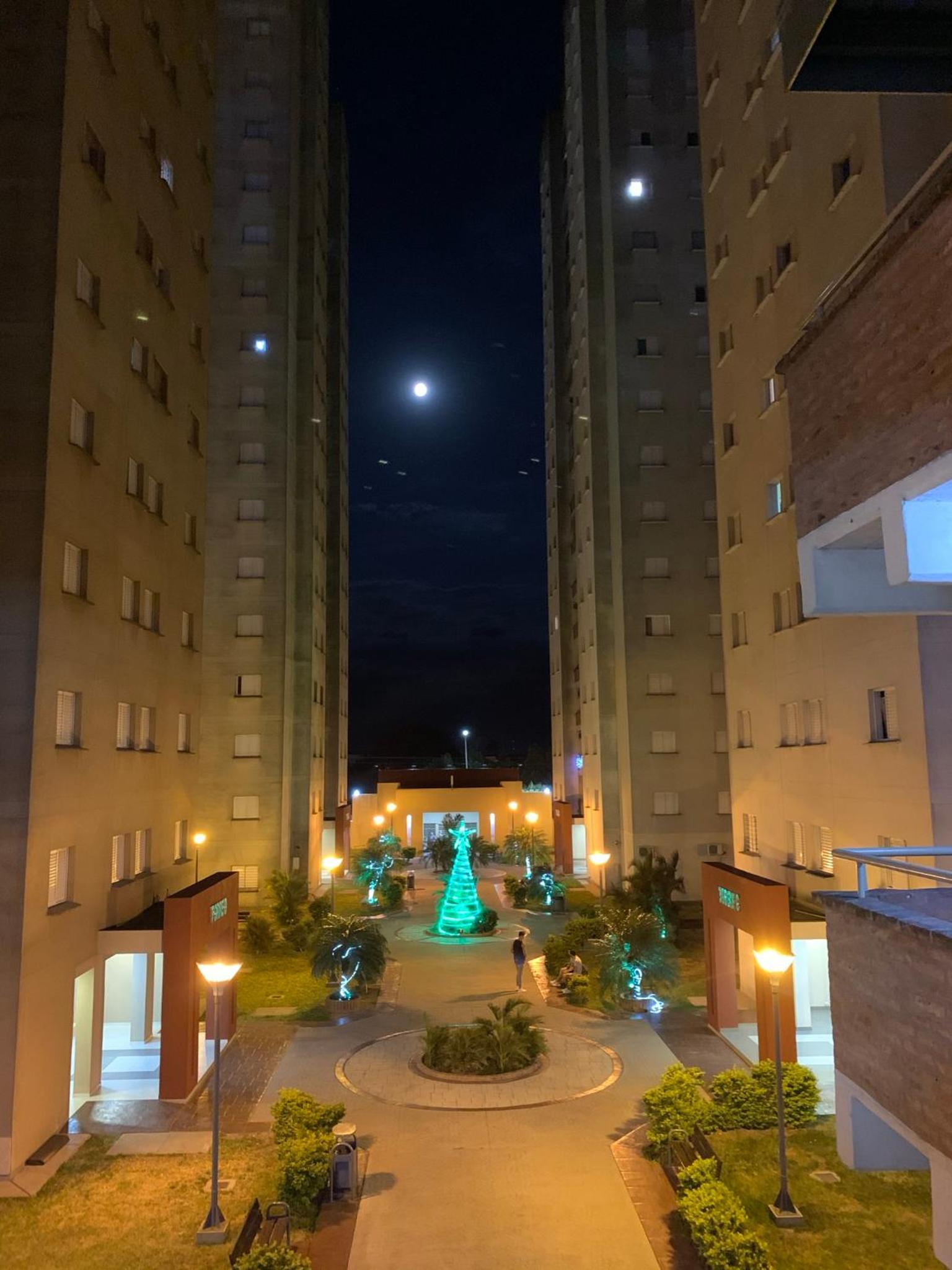 Departamento Torres Sarmiento
