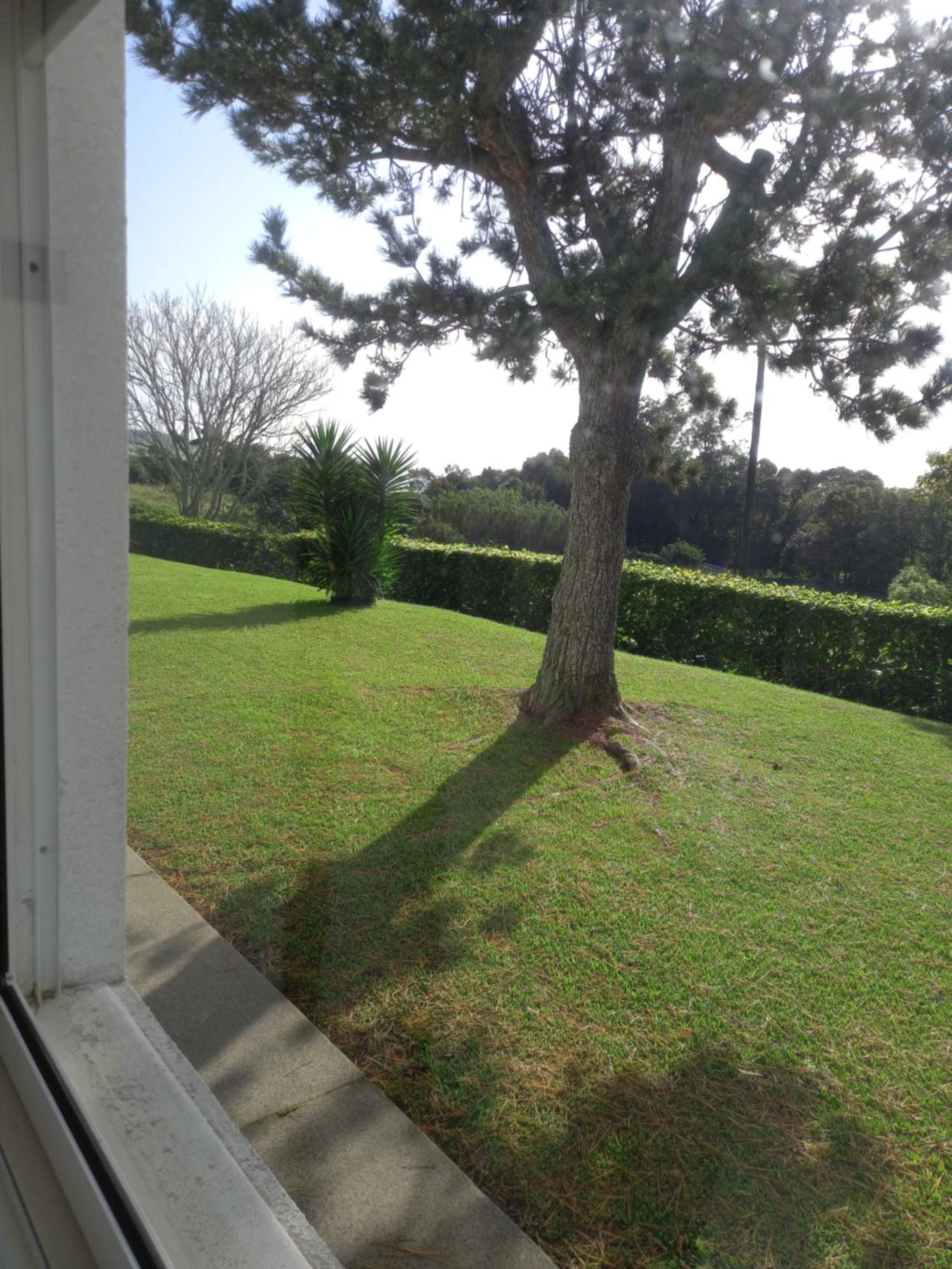 Casa Branca view 2