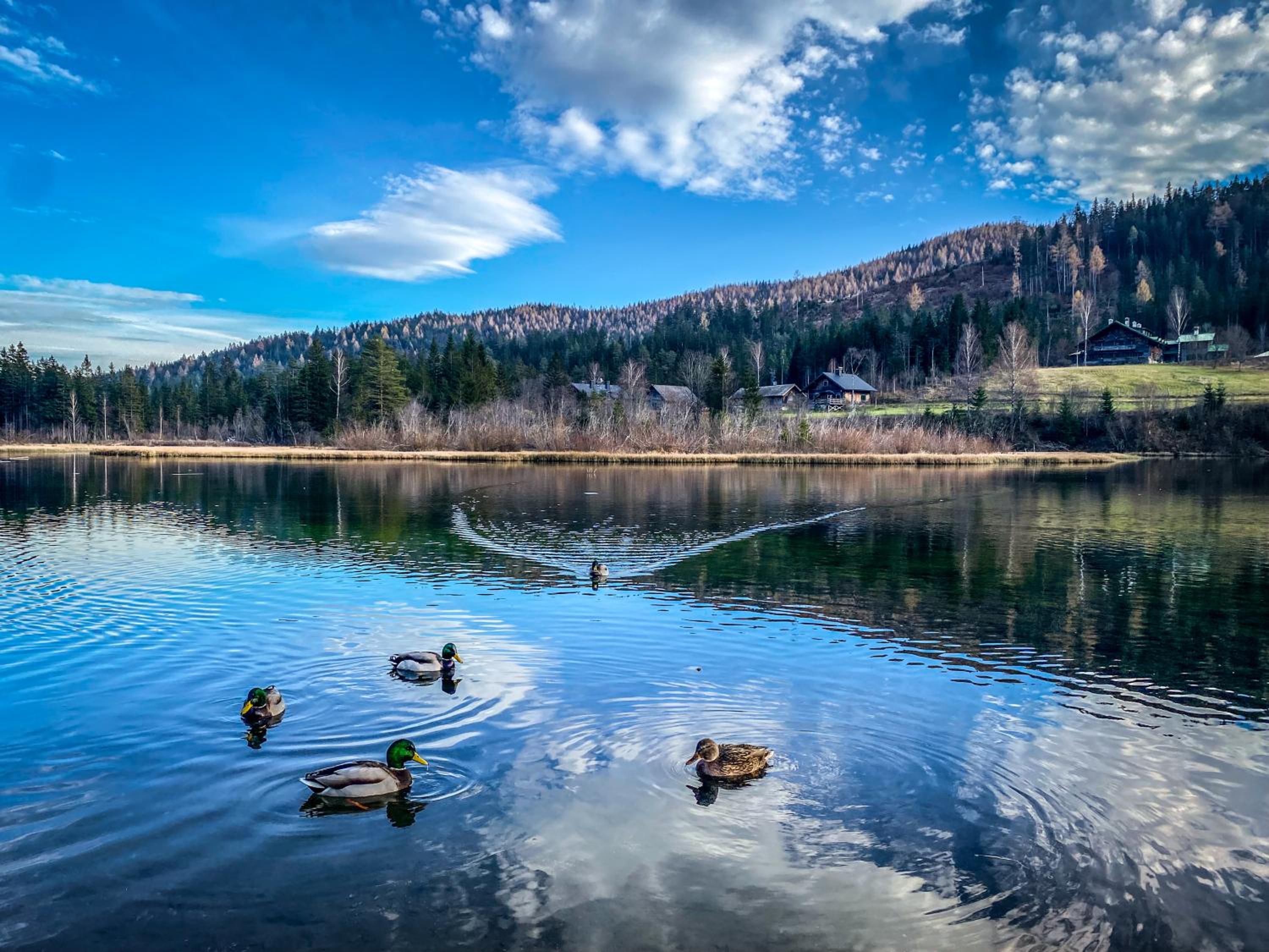 Chalet Hubertussee