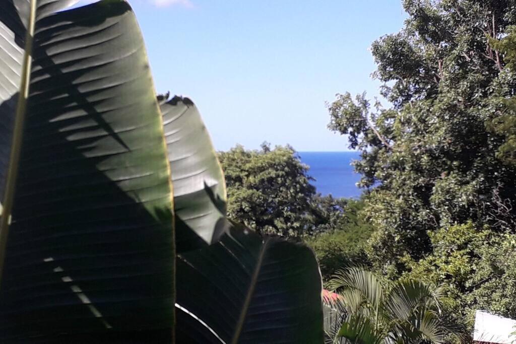 Bungalow sur pilotis vue mer view 4