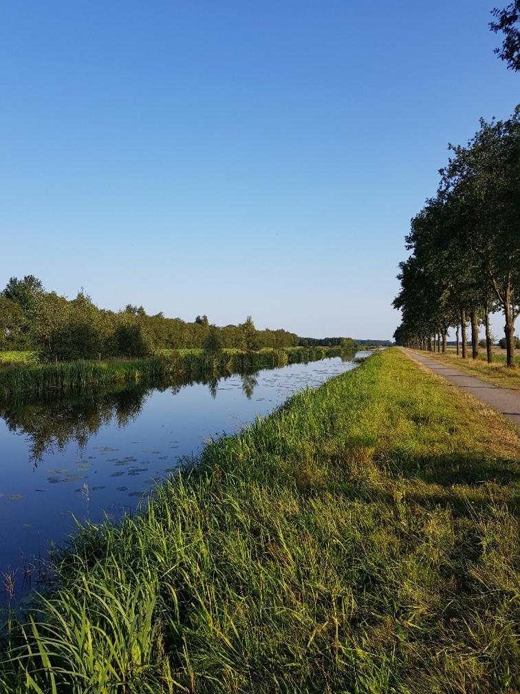 Onder de Beukenboom view 5